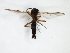  ( - TSZD-JKJ-103141)  @11 [ ] CreativeCommons - Attribution Non-Commercial Share-Alike (2017) Unspecified Tromsø University Museum