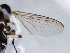  ( - TSZD-JKJ-103141)  @11 [ ] CreativeCommons - Attribution Non-Commercial Share-Alike (2017) Unspecified Tromsø University Museum