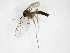  ( - TSZD-JKJ-103142)  @11 [ ] CreativeCommons - Attribution Non-Commercial Share-Alike (2017) Unspecified Tromsø University Museum