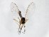  ( - TSZD-JKJ-103143)  @11 [ ] CreativeCommons - Attribution Non-Commercial Share-Alike (2017) Unspecified Tromsø University Museum