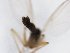  ( - TSZD-JKJ-103143)  @11 [ ] CreativeCommons - Attribution Non-Commercial Share-Alike (2017) Unspecified Tromsø University Museum