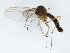  ( - TSZD-JKJ-103144)  @11 [ ] CreativeCommons - Attribution Non-Commercial Share-Alike (2017) Unspecified Tromsø University Museum