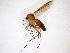  ( - TSZD-JKJ-103180)  @11 [ ] CreativeCommons - Attribution Non-Commercial Share-Alike (2017) Unspecified Tromsø University Museum