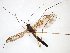  ( - TSZD-JKJ-103195)  @11 [ ] CreativeCommons - Attribution Non-Commercial Share-Alike (2017) Unspecified Tromsø University Museum