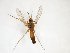  ( - TSZD-JKJ-103217)  @11 [ ] CreativeCommons - Attribution Non-Commercial Share-Alike (2017) Unspecified Tromsø University Museum