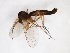  ( - TSZD-JKJ-103222)  @11 [ ] CreativeCommons - Attribution Non-Commercial Share-Alike (2017) Unspecified Tromsø University Museum