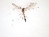  ( - TSZD-JKJ-103230)  @11 [ ] CreativeCommons - Attribution Non-Commercial Share-Alike (2017) Unspecified Tromsø University Museum