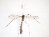  ( - TSZD-JKJ-103231)  @11 [ ] CreativeCommons - Attribution Non-Commercial Share-Alike (2017) Unspecified Tromsø University Museum