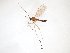  ( - TSZD-JKJ-103233)  @11 [ ] CreativeCommons - Attribution Non-Commercial Share-Alike (2017) Unspecified Tromsø University Museum