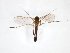 ( - TSZD-JKJ-103242)  @12 [ ] CreativeCommons - Attribution Non-Commercial Share-Alike (2017) Unspecified Tromsø University Museum