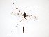  ( - TSZD-JKJ-103243)  @12 [ ] CreativeCommons - Attribution Non-Commercial Share-Alike (2017) Unspecified Tromsø University Museum