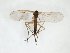  ( - TSZD-JKJ-103247)  @11 [ ] CreativeCommons - Attribution Non-Commercial Share-Alike (2017) Unspecified Tromsø University Museum
