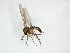  ( - TSZD-JKJ-103249)  @11 [ ] CreativeCommons - Attribution Non-Commercial Share-Alike (2017) Unspecified Tromsø University Museum