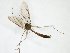  ( - TSZD-JKJ-103256)  @12 [ ] CreativeCommons - Attribution Non-Commercial Share-Alike (2017) Unspecified Tromsø University Museum