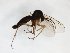  ( - TSZD-JKJ-103286)  @11 [ ] CreativeCommons - Attribution Share-Alike (2017) Unspecified Tromso University Museum