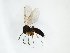  ( - TSZD-JKJ-103301)  @13 [ ] CreativeCommons - Attribution Non-Commercial Share-Alike (2017) Unspecified Tromsø University Museum