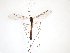 ( - TSZD-JKJ-103315)  @11 [ ] CreativeCommons - Attribution Non-Commercial Share-Alike (2017) Unspecified Tromsø University Museum