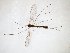  ( - TSZD-JKJ-103343)  @11 [ ] CreativeCommons - Attribution Non-Commercial Share-Alike (2017) Unspecified Tromsø University Museum