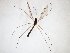  ( - TSZD-JKJ-103344)  @11 [ ] CreativeCommons - Attribution Non-Commercial Share-Alike (2017) Unspecified Tromsø University Museum