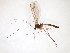  ( - TSZD-JKJ-103345)  @11 [ ] CreativeCommons - Attribution Non-Commercial Share-Alike (2017) Unspecified Tromsø University Museum