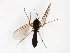 ( - TSZD-JKJ-103356)  @11 [ ] CreativeCommons - Attribution Non-Commercial Share-Alike (2017) Unspecified Tromsø University Museum