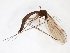  ( - TSZD-JKJ-103399)  @12 [ ] CreativeCommons - Attribution Non-Commercial Share-Alike (2017) Unspecified Tromsø University Museum