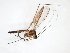  ( - TSZD-JKJ-103401)  @11 [ ] CreativeCommons - Attribution Non-Commercial Share-Alike (2017) Unspecified Tromsø University Museum