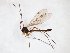  ( - TSZD-JKJ-103409)  @11 [ ] CreativeCommons - Attribution Non-Commercial Share-Alike (2017) Unspecified Tromsø University Museum