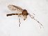  ( - TSZD-JKJ-103410)  @13 [ ] CreativeCommons - Attribution Non-Commercial Share-Alike (2017) Unspecified Tromsø University Museum