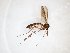  ( - TSZD-JKJ-103414)  @11 [ ] CreativeCommons - Attribution Non-Commercial Share-Alike (2017) Unspecified Tromsø University Museum