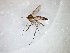  ( - TSZD-JKJ-103428)  @11 [ ] CreativeCommons - Attribution Non-Commercial Share-Alike (2017) Unspecified Tromsø University Museum