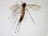  ( - TSZD-JKJ-103431)  @12 [ ] CreativeCommons - Attribution Non-Commercial Share-Alike (2017) Unspecified Tromsø University Museum