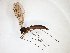  ( - TSZD-JKJ-103437)  @11 [ ] CreativeCommons - Attribution Non-Commercial Share-Alike (2017) Unspecified Tromsø University Museum