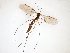  ( - TSZD-JKJ-103445)  @11 [ ] CreativeCommons - Attribution Non-Commercial Share-Alike (2017) Unspecified Tromsø University Museum