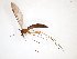  ( - TSZD-JKJ-103446)  @11 [ ] CreativeCommons - Attribution Non-Commercial Share-Alike (2017) Unspecified Tromsø University Museum