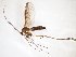  ( - TSZD-JKJ-103448)  @11 [ ] CreativeCommons - Attribution Non-Commercial Share-Alike (2017) Unspecified Tromsø University Museum