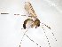  ( - TSZD-JKJ-103457)  @11 [ ] CreativeCommons - Attribution Non-Commercial Share-Alike (2017) Unspecified Tromsø University Museum