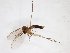  ( - TSZD-JKJ-103462)  @12 [ ] CreativeCommons - Attribution Non-Commercial Share-Alike (2017) Unspecified Tromsø University Museum