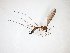  ( - TSZD-JKJ-103467)  @11 [ ] CreativeCommons - Attribution Non-Commercial Share-Alike (2017) Unspecified Tromsø University Museum