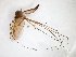  ( - TSZD-JKJ-103469)  @11 [ ] CreativeCommons - Attribution Non-Commercial Share-Alike (2017) Unspecified Tromsø University Museum
