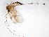  ( - TSZD-JKJ-103477)  @13 [ ] CreativeCommons - Attribution Non-Commercial Share-Alike (2017) Unspecified Tromsø University Museum