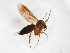  ( - TSZD-JKJ-103501)  @12 [ ] CreativeCommons - Attribution Non-Commercial Share-Alike (2017) Unspecified Tromsø University Museum