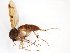  ( - TSZD-JKJ-103535)  @11 [ ] CreativeCommons - Attribution Non-Commercial Share-Alike (2017) Unspecified Tromsø University Museum