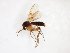  ( - TSZD-JKJ-103539)  @11 [ ] CreativeCommons - Attribution Non-Commercial Share-Alike (2017) Unspecified Tromsø University Museum