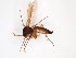 ( - TSZD-JKJ-103565)  @11 [ ] CreativeCommons - Attribution Non-Commercial Share-Alike (2017) Unspecified Tromsø University Museum