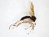  ( - TSZD-JKJ-103600)  @11 [ ] CreativeCommons - Attribution Non-Commercial Share-Alike (2017) Unspecified Tromsø University Museum
