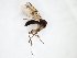  ( - TSZD-JKJ-103601)  @11 [ ] CreativeCommons - Attribution Non-Commercial Share-Alike (2017) Unspecified Tromsø University Museum