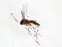  ( - TSZD-JKJ-103718)  @11 [ ] CreativeCommons - Attribution Non-Commercial Share-Alike (2017) Unspecified Tromsø University Museum