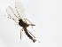  ( - TSZD-JKJ-103724)  @11 [ ] CreativeCommons - Attribution Non-Commercial Share-Alike (2017) Unspecified Tromsø University Museum