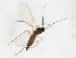  ( - TSZD-JKJ-103731)  @11 [ ] CreativeCommons - Attribution Non-Commercial Share-Alike (2017) Unspecified Tromsø University Museum